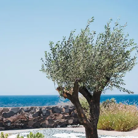 Colombos Beachfront 5* Foinikiá