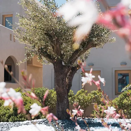 Hotel Colombos Beachfront Foinikia (Santorini)