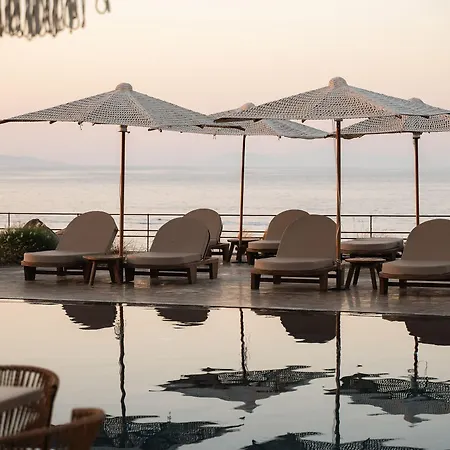 Colombos Beachfront 5*