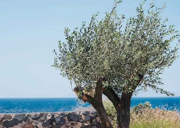 Colombos Beachfront 5* Foinikiá