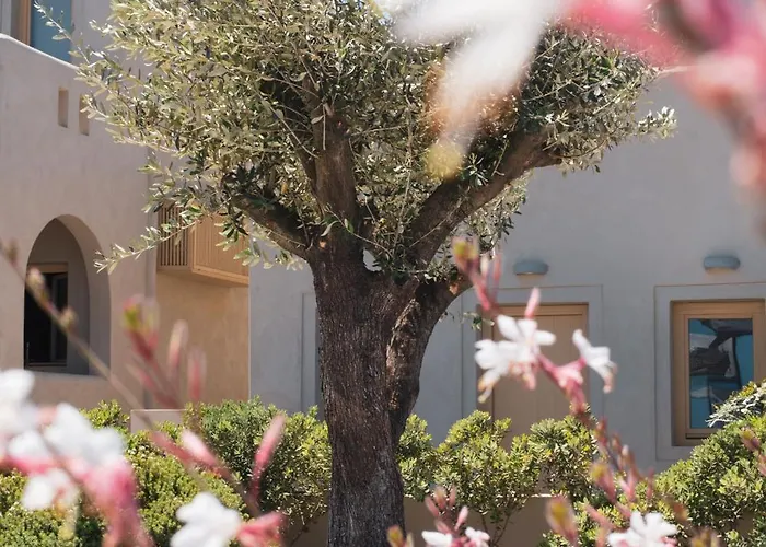 Hotel Colombos Beachfront Foinikiá